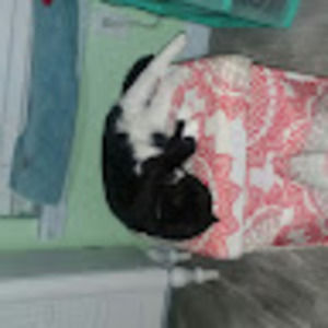 Meet your Posher, Payge